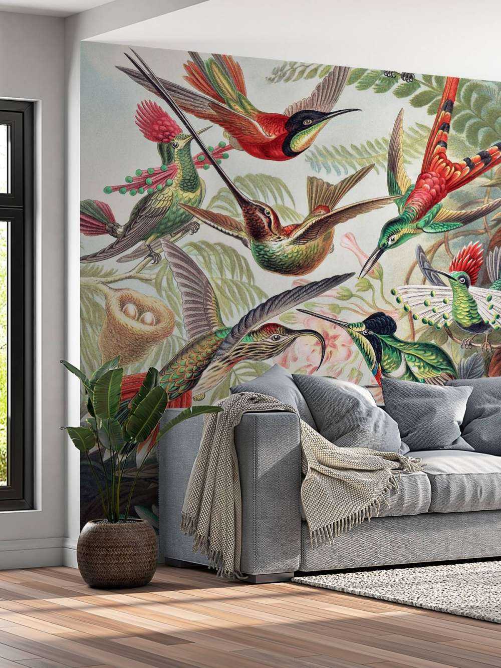 Hummingbirds