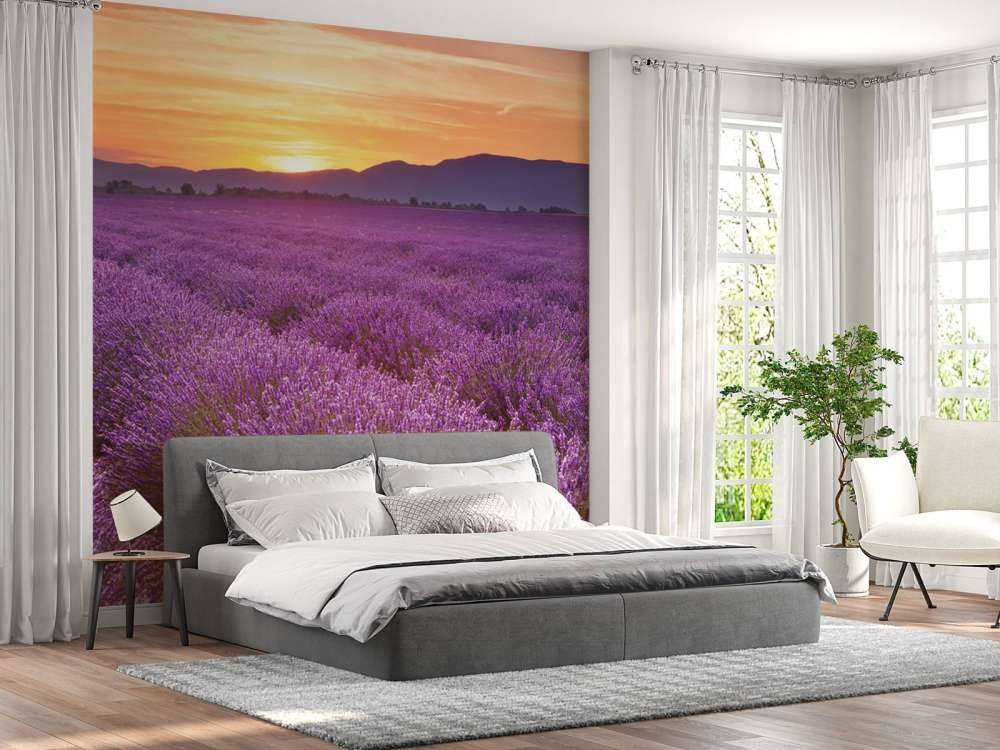 Feld voller Lavendel