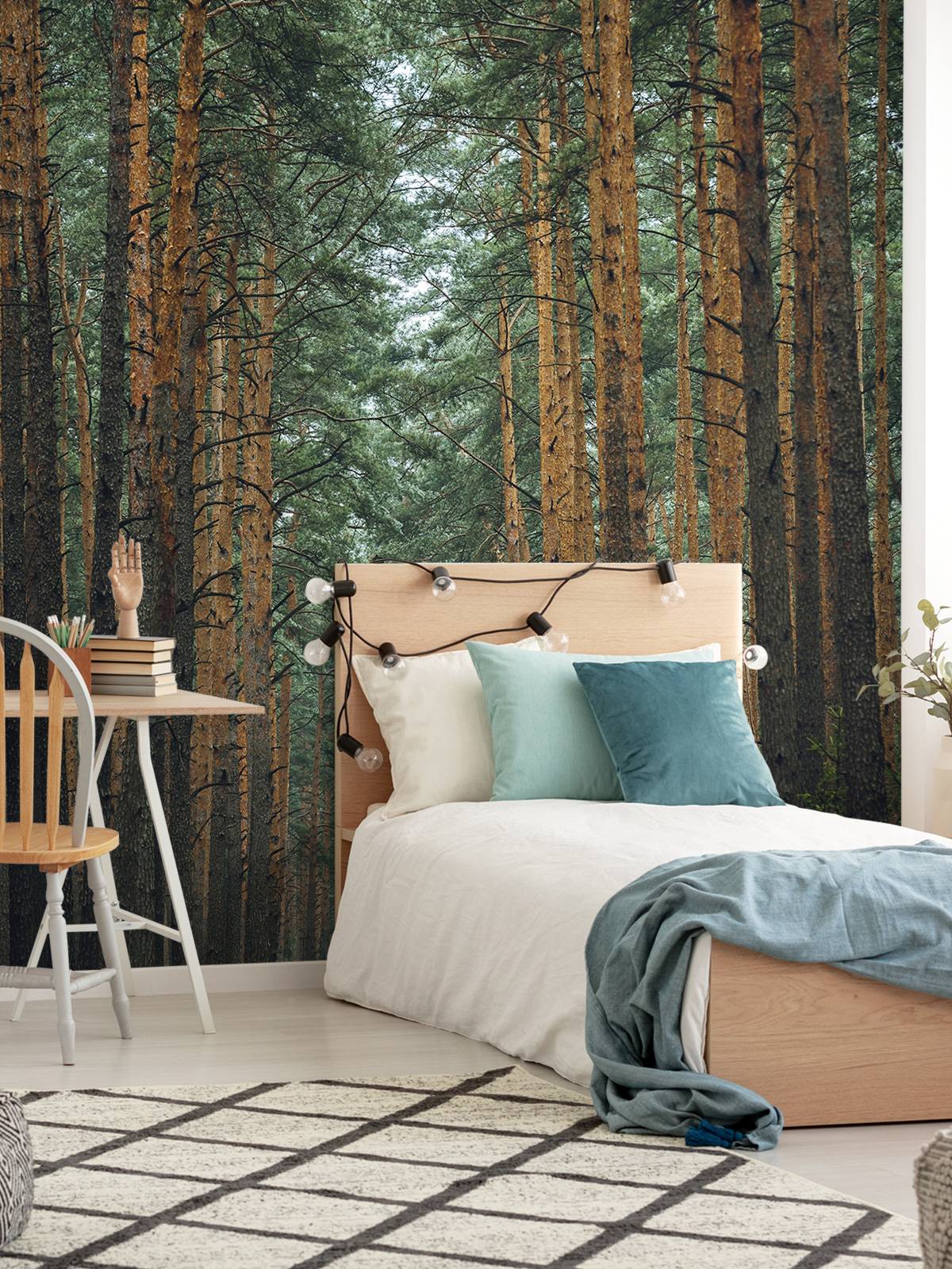 The Forest road 1