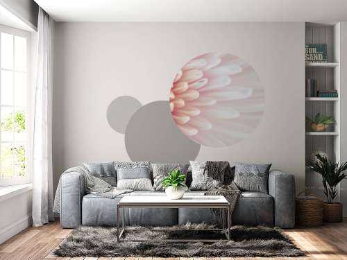 Chrysanthemum petals