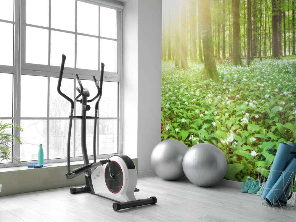 Wilder Wald mit Sonnenaufgang