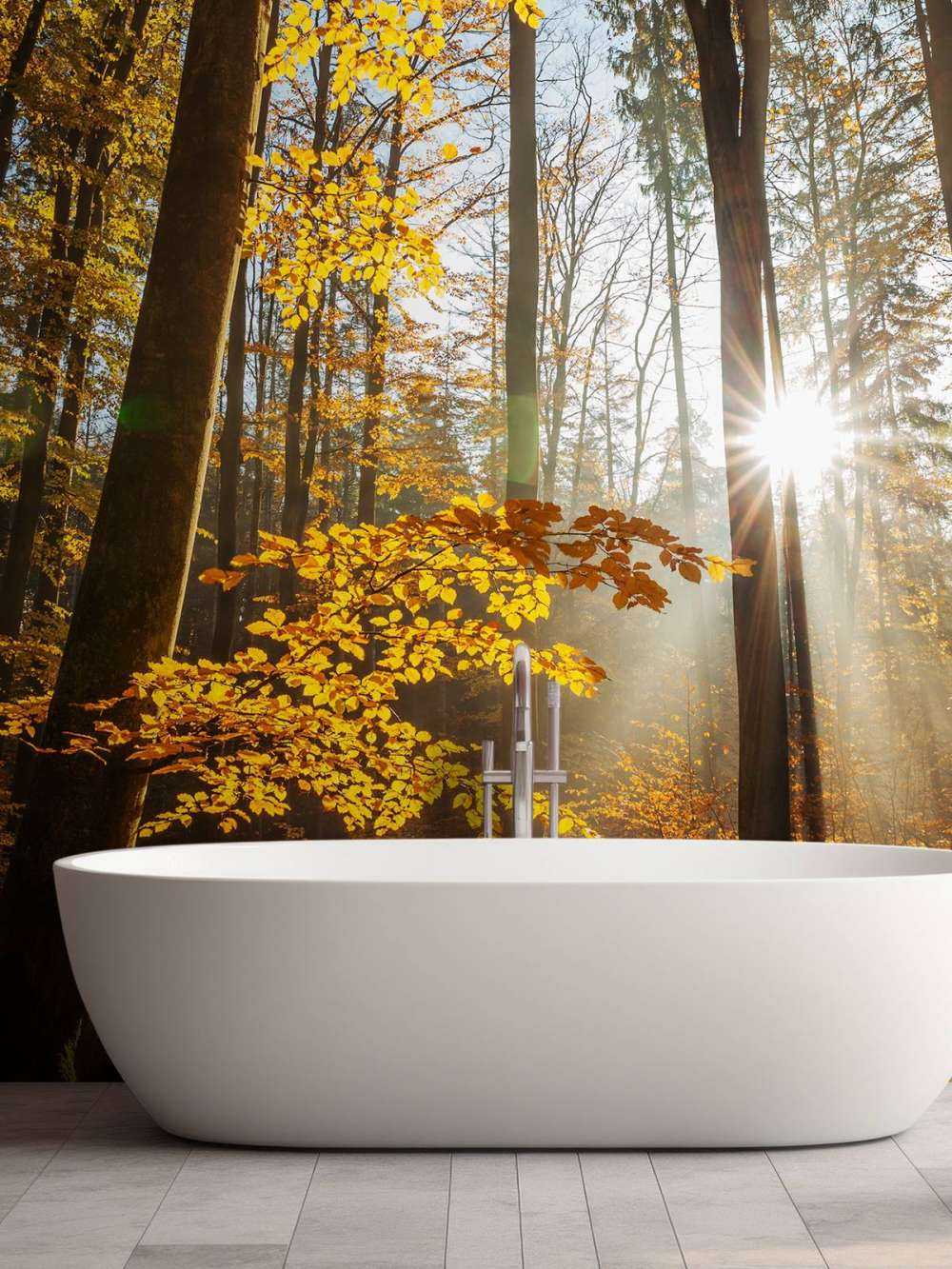 Herbstwald