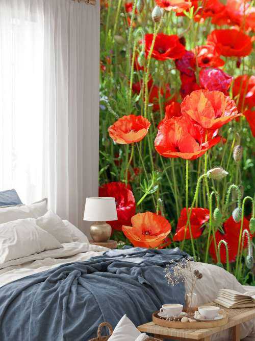 Nahaufnahme von Mohnblumen