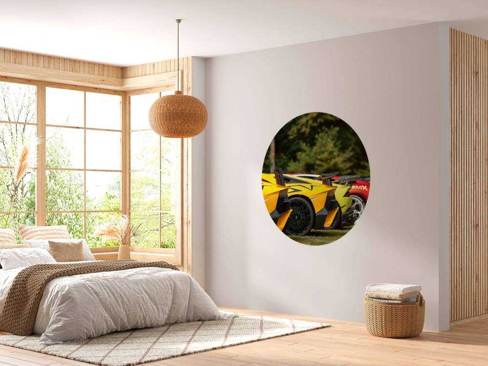 Supercar Sammlung in der Natur
