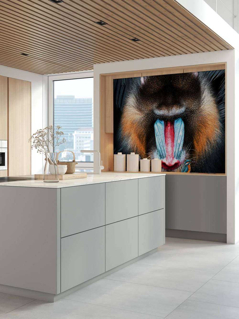 Mandrill Porträt