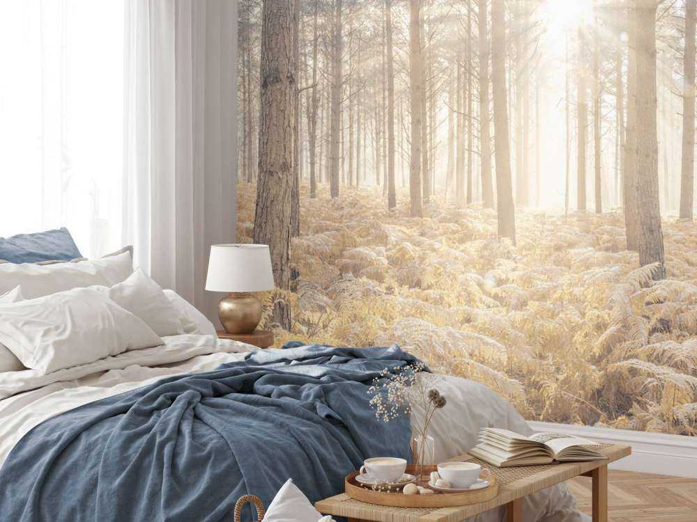 Sonnenstrahlen im kalten Wald