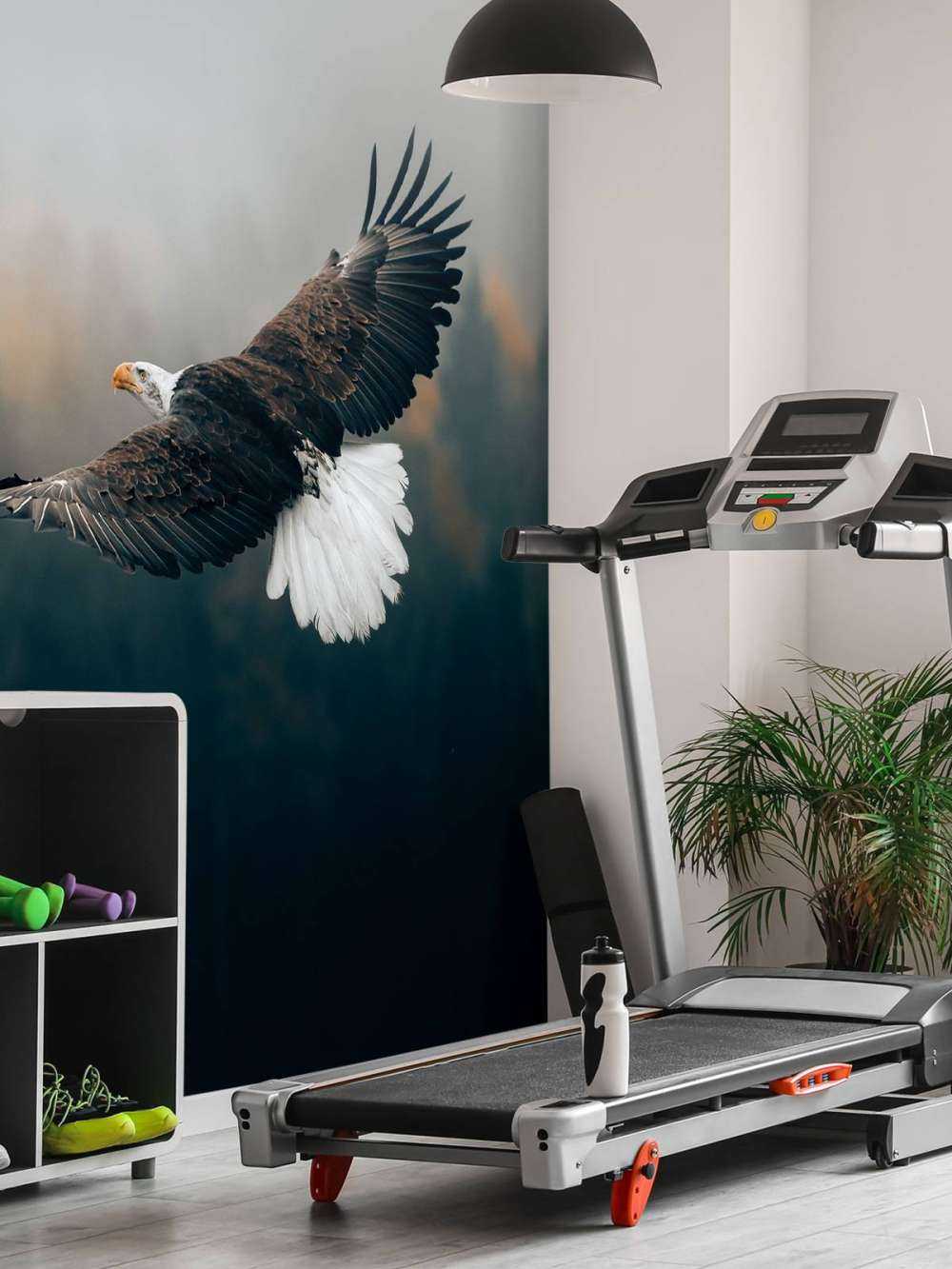 Weißkopfseeadler über dem Wald