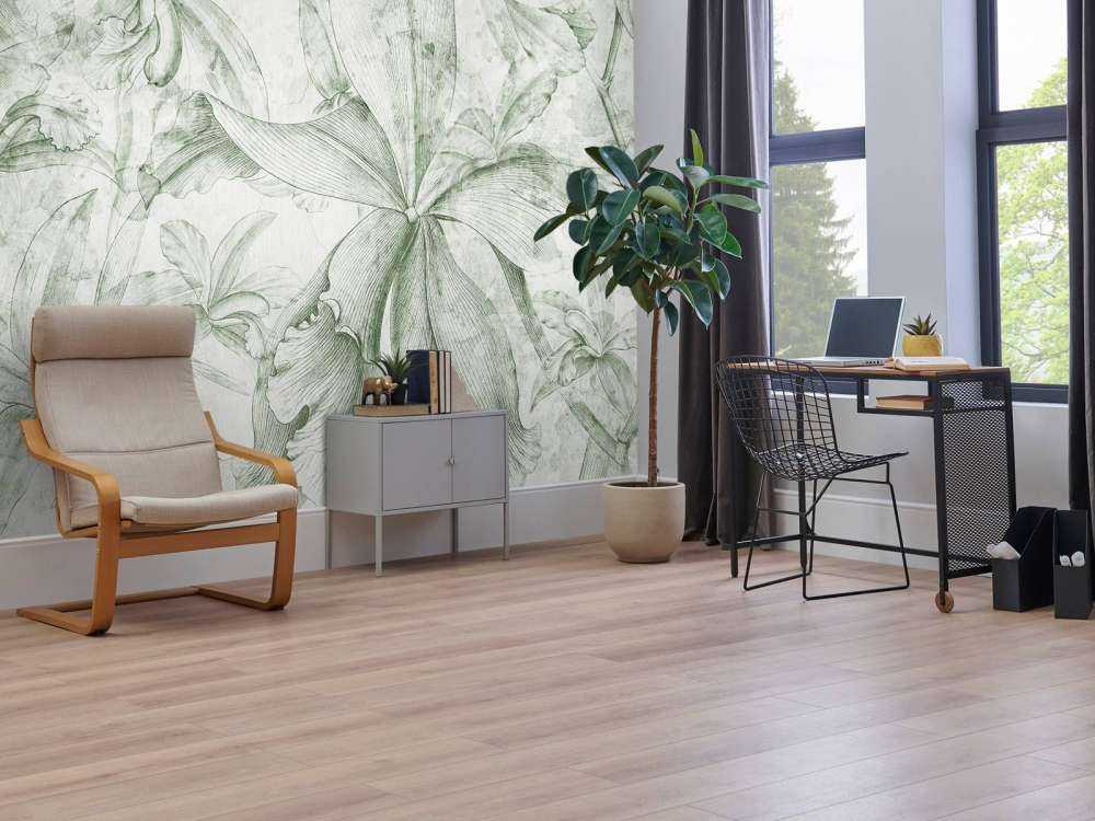 Orchids Contour 4