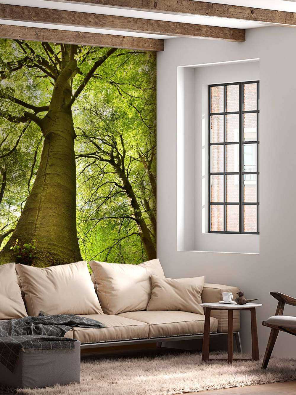 Großer Baum mit Wurzeln