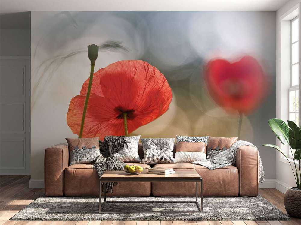 Morning Poppies