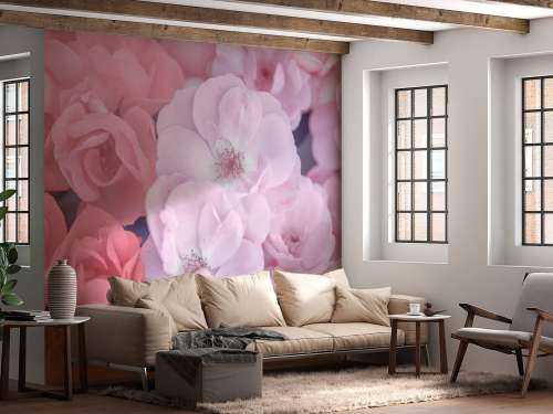 Rosa weinrote Blumen