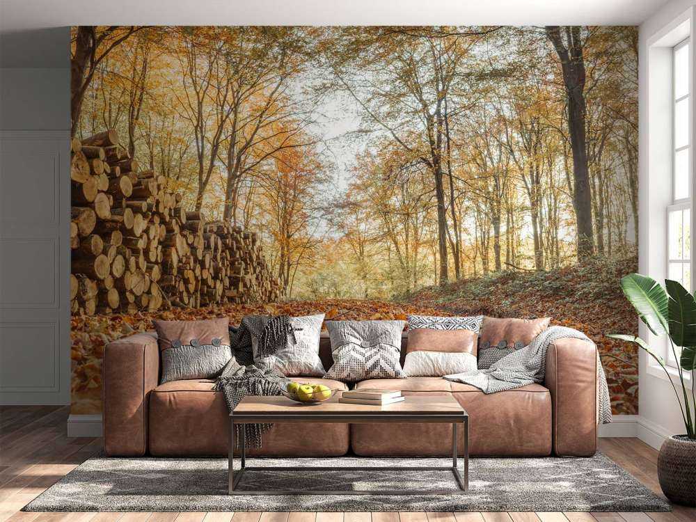 Baumstämme im Herbstwald