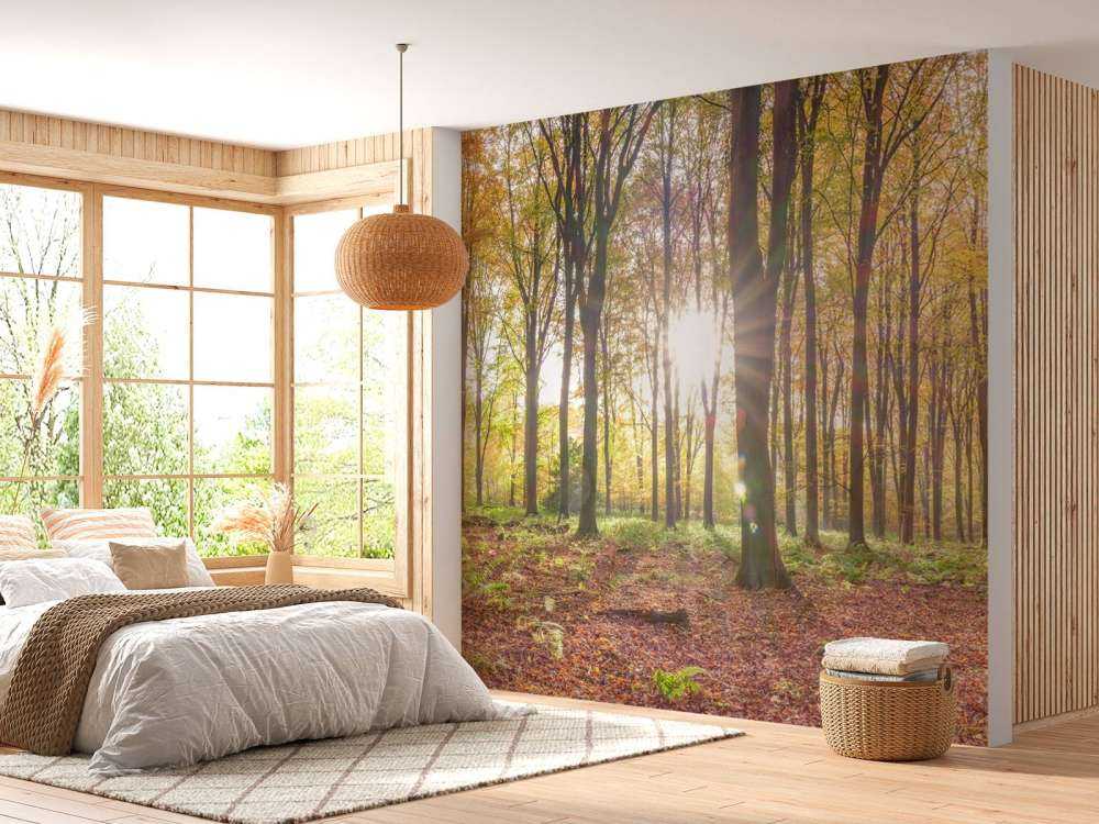 Sonnenlicht durch den Herbstwald