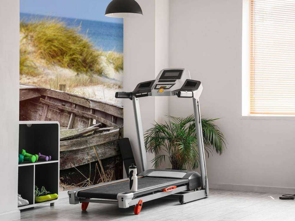 Möven, Strand und Meer