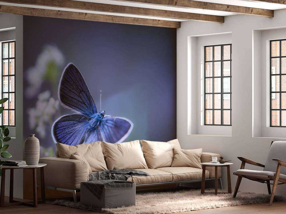 Blauer Schmetterling