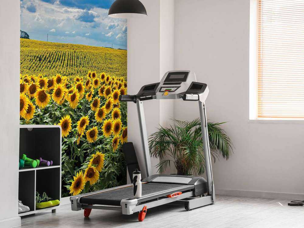 Wiese voller Sonnenblumen