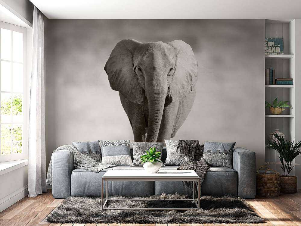 Schöner Elefant