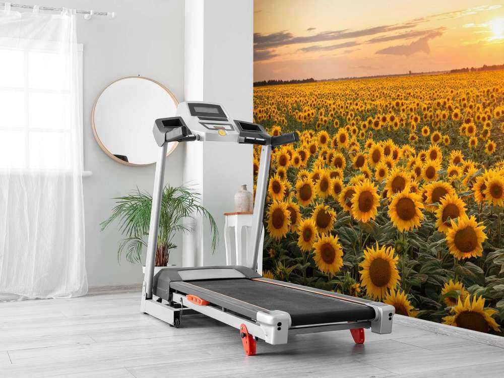 Sonnenblumenfeld mit Sonnenuntergang