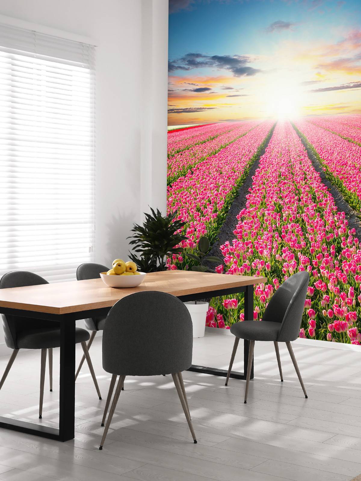 Tulpen mit aufgehender Sonne
