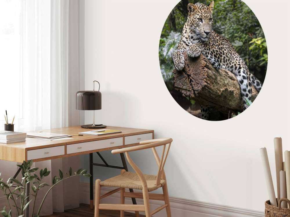 Leopard auf Baum