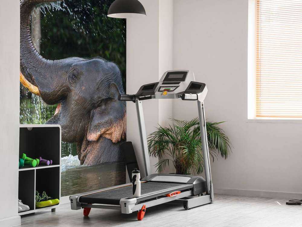 Elefant im Wasser