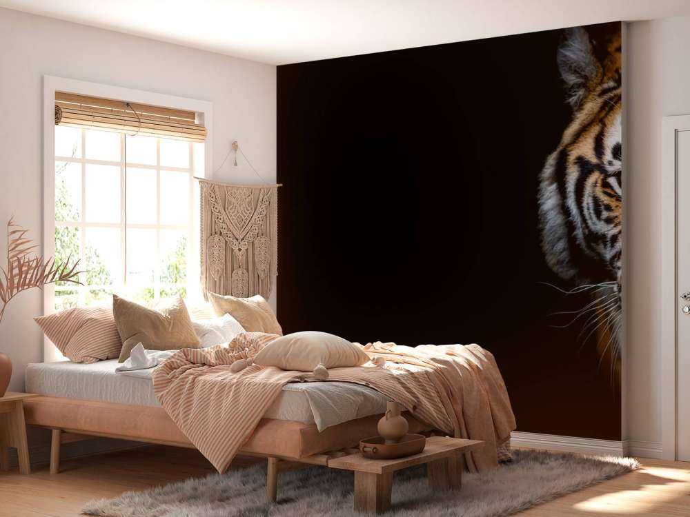 Tiger-Panorama