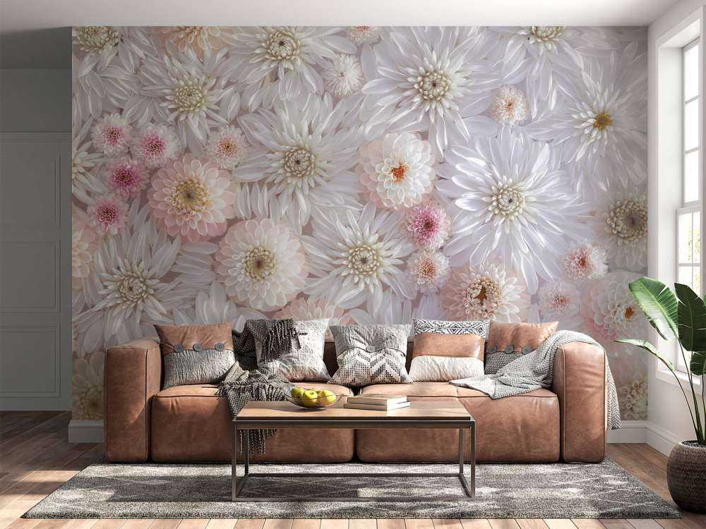 Rosa Dahlien