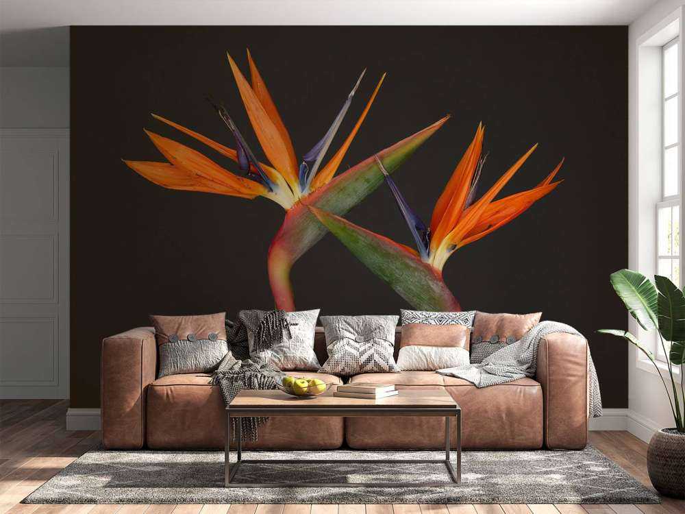 Paradiesvogel Blumen