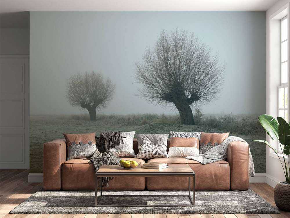 Kopfweiden im Nebel