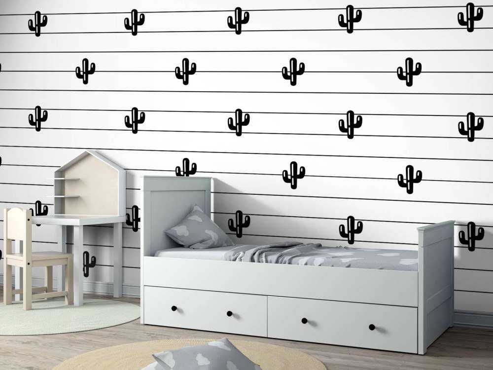 Kakteen und Linien