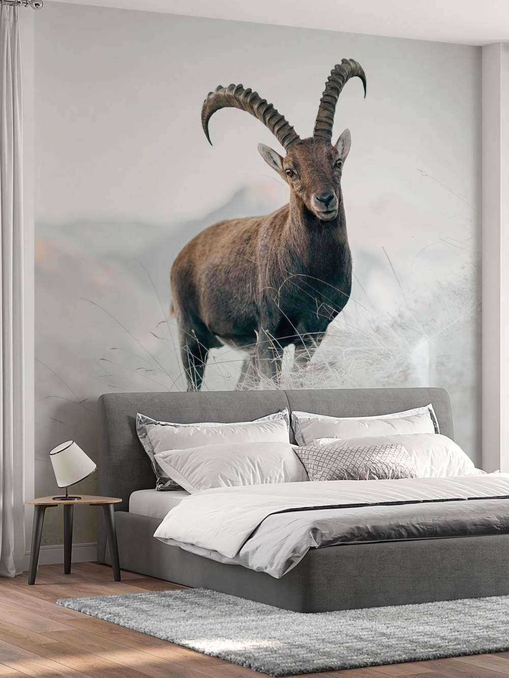 Alpensteinbock
