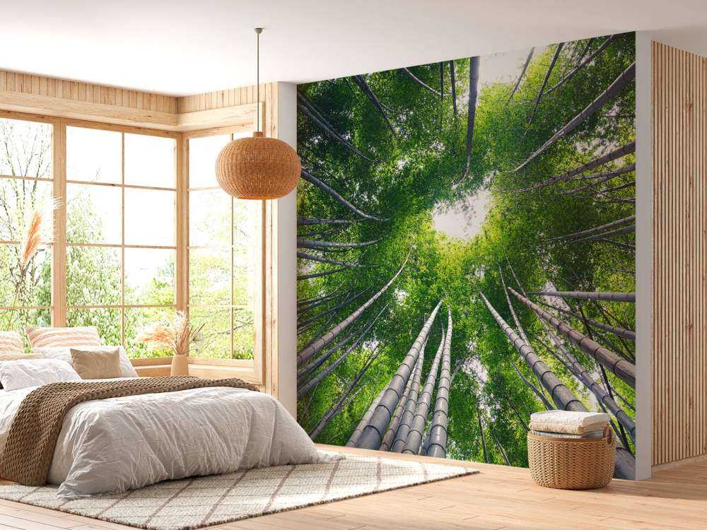 Wald mit Bambus