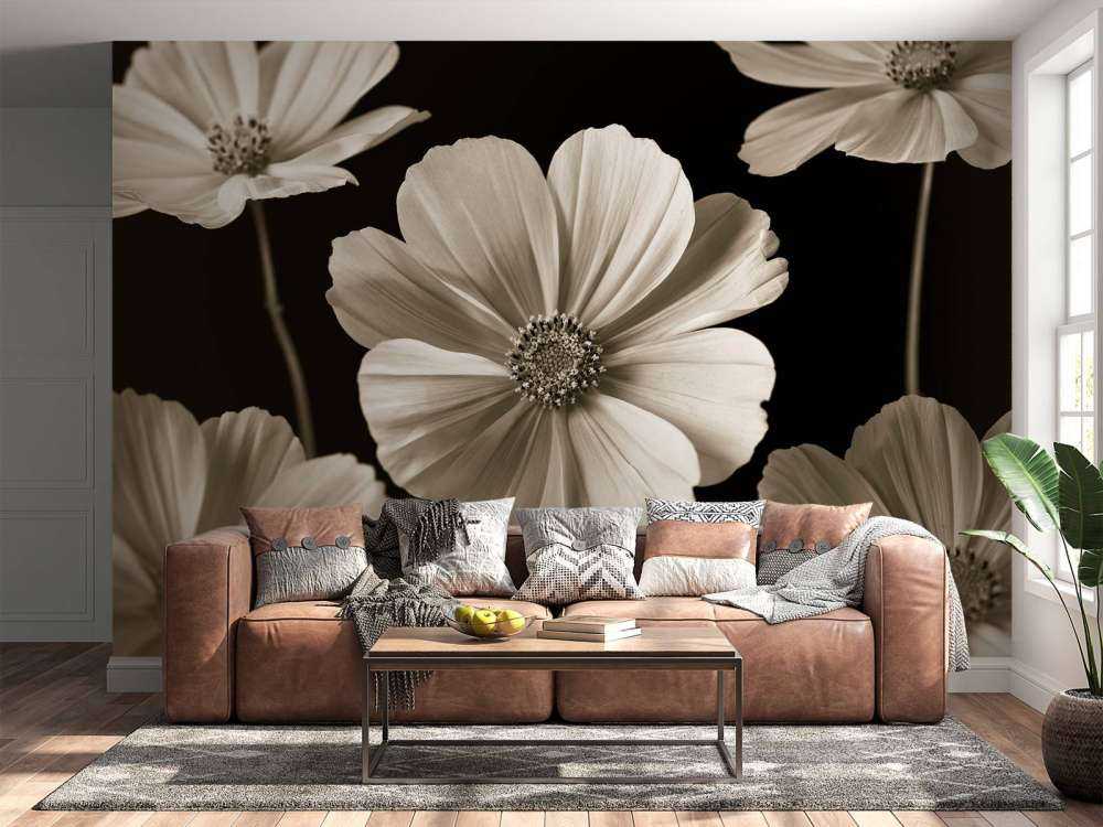 Mehrere Cosmos-Blüten