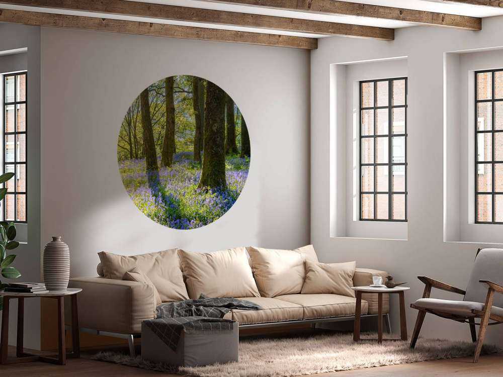 Panorama des Frühlings im Wald