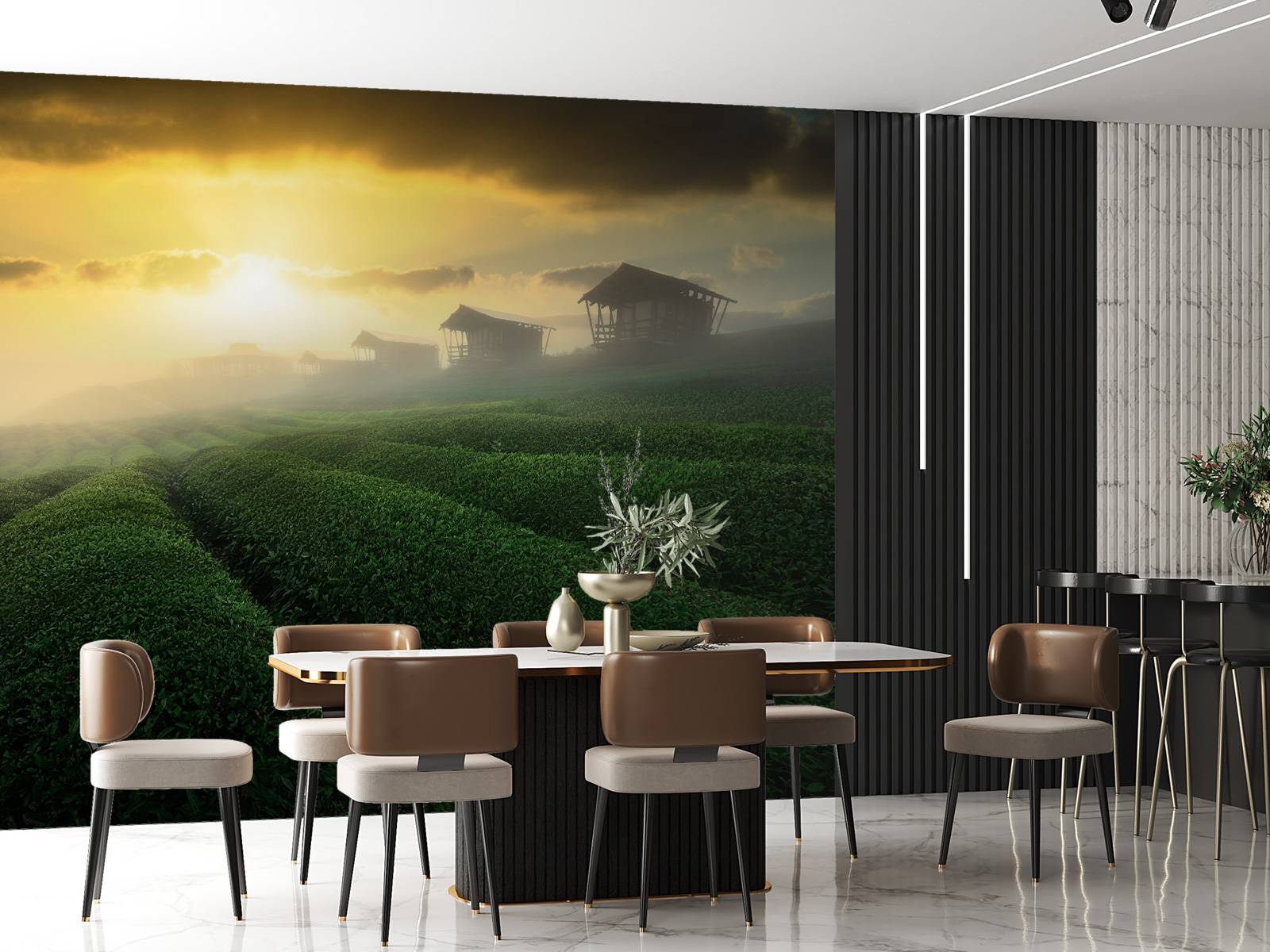 misty sunrise in tea garden