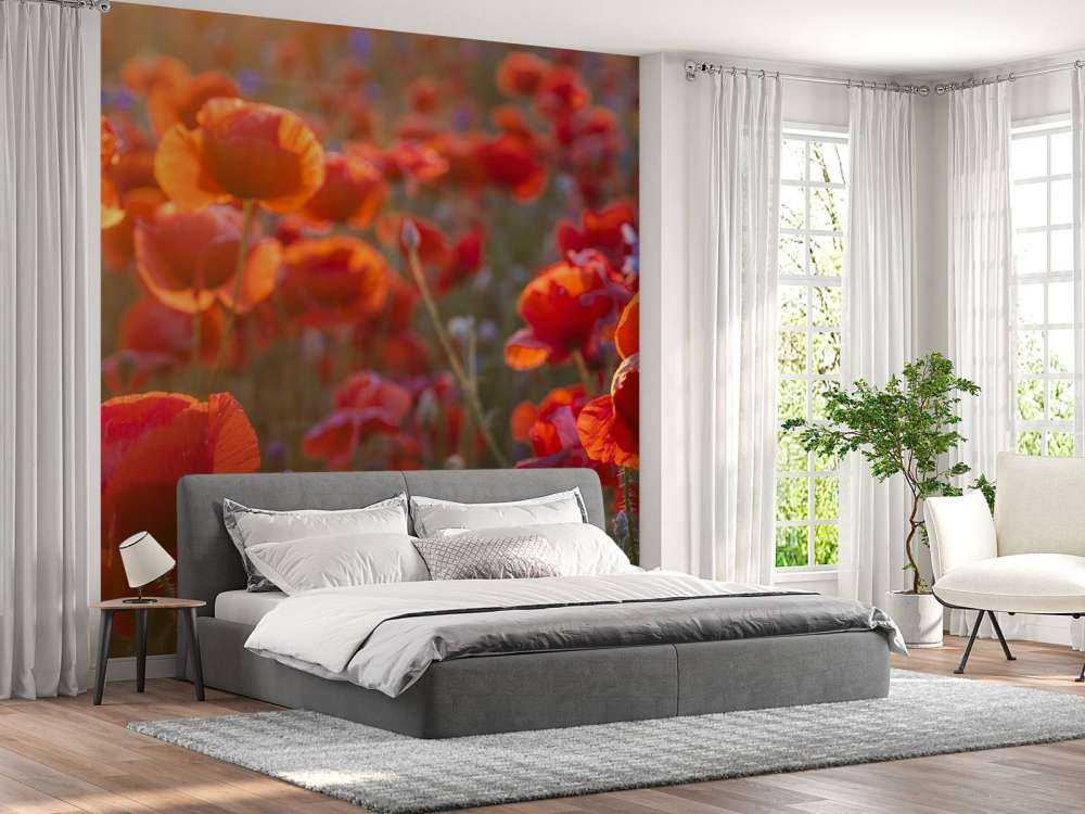 Mohn und Kornblumen