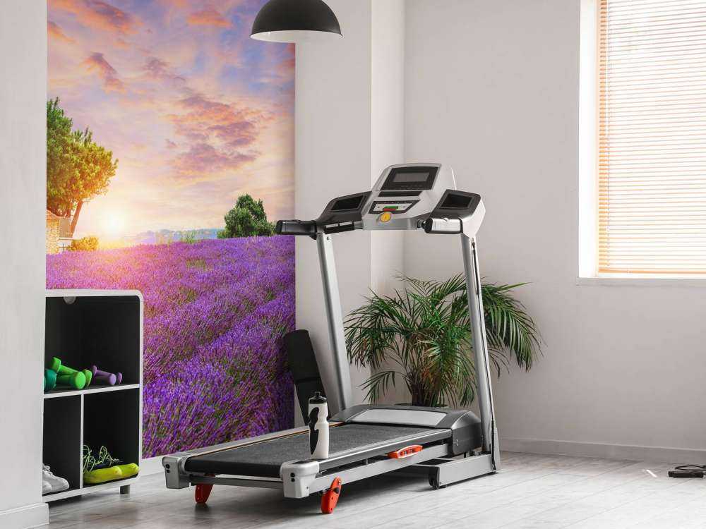 Lavendelfeld bei Sonnenaufgang