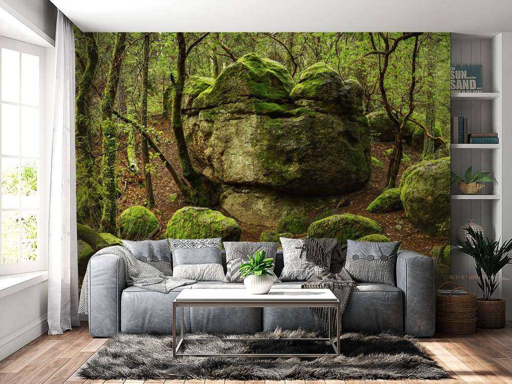 Zauberhafter Wald