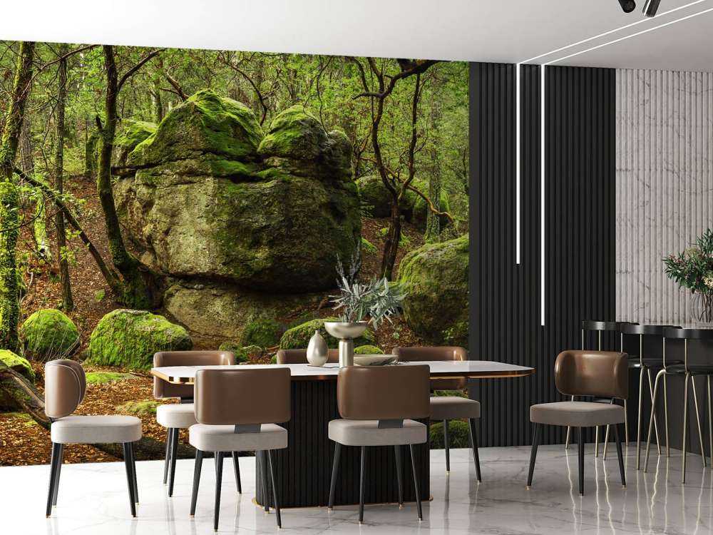 Zauberhafter Wald