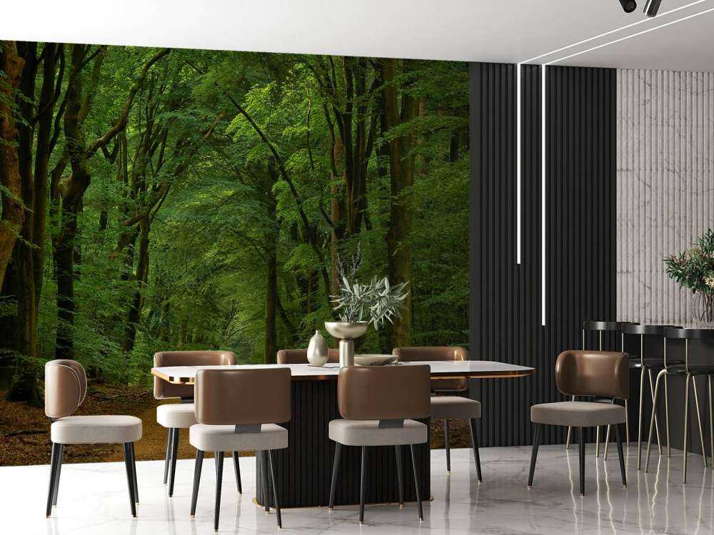 Straße durch den Wald