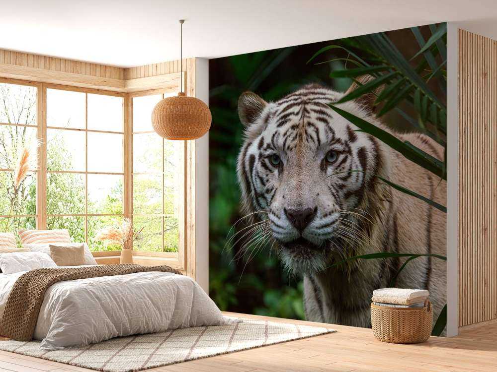 Weißer Tiger