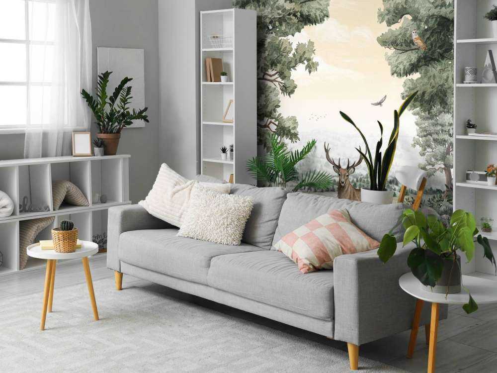 Forest Vista