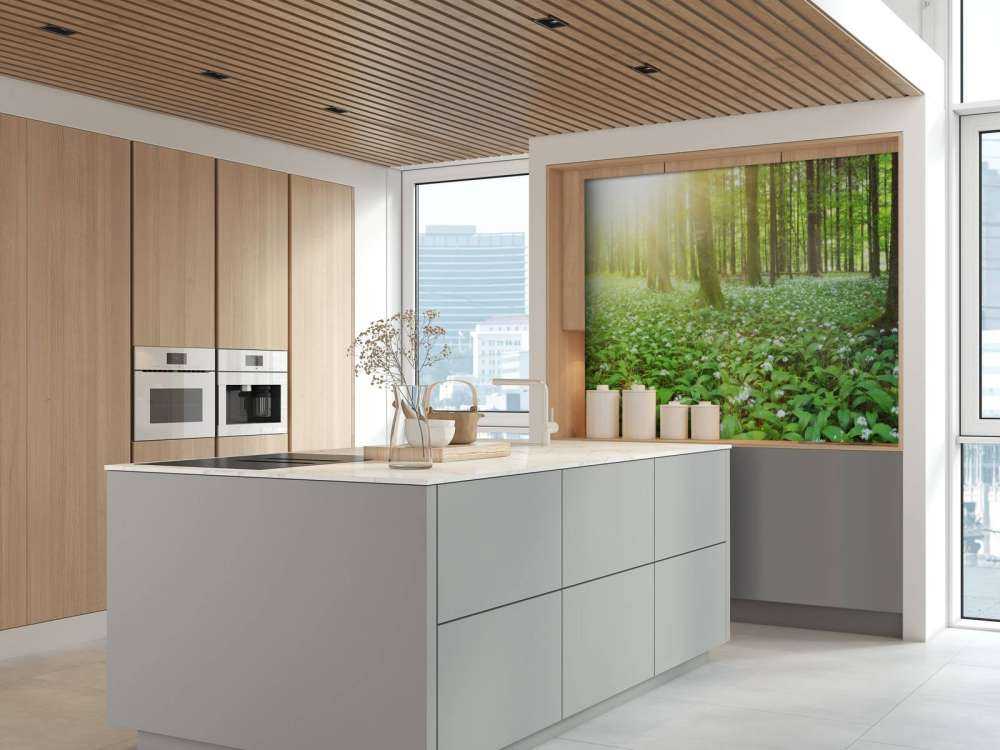 Wilder Wald mit Sonnenaufgang