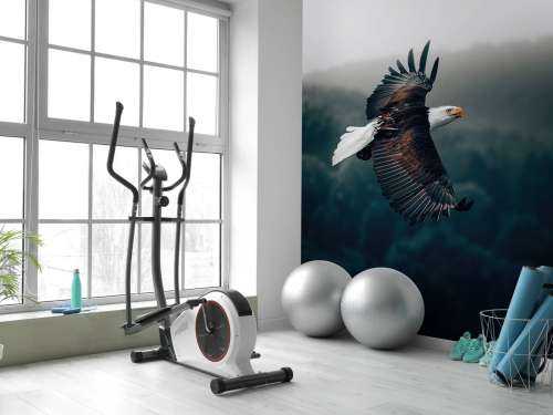 Flying Eagle