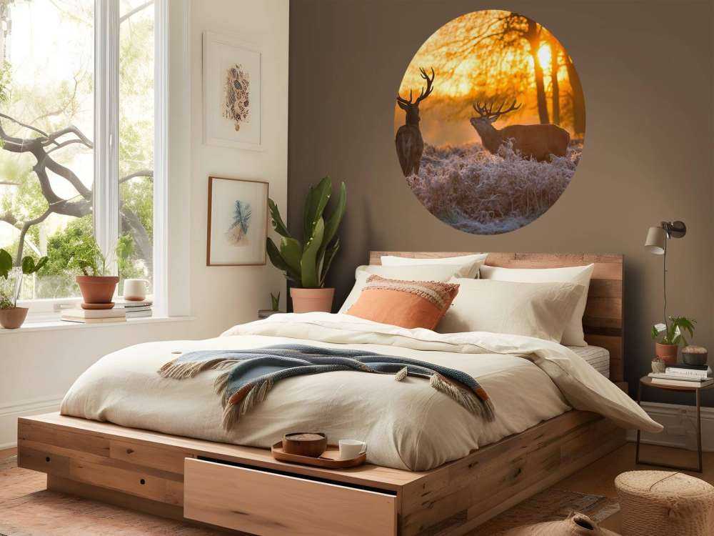 Hirsche bei Sonnenuntergang
