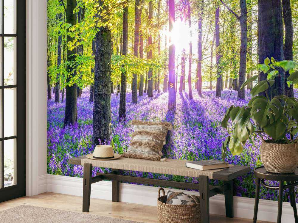 Bunter Wald