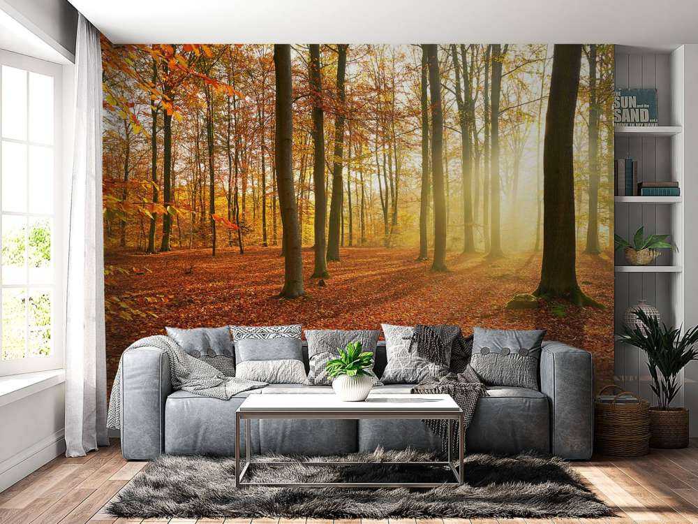 Herbstmorgen im Wald