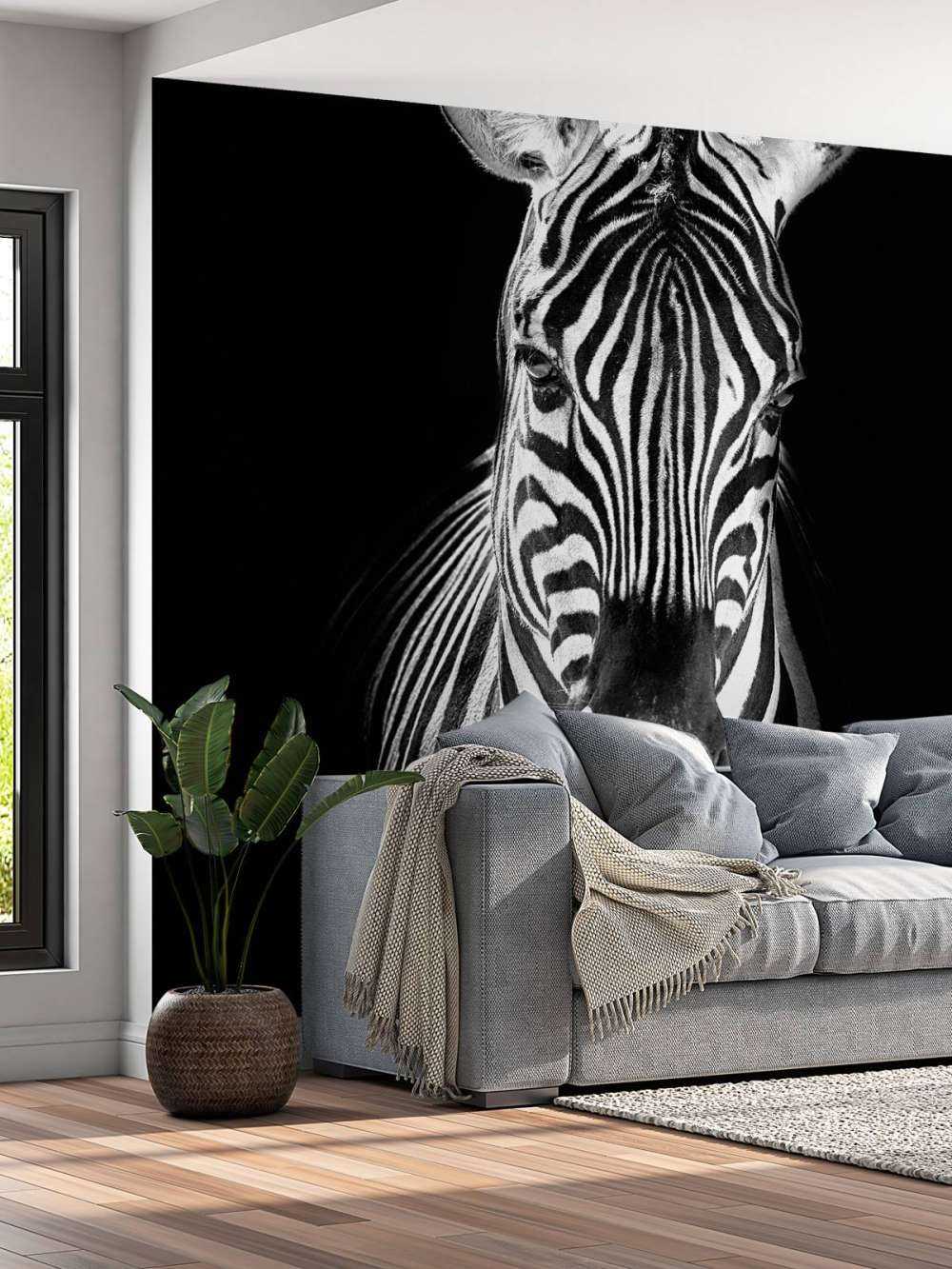 Nahaufnahme Zebra schwarz-weiß