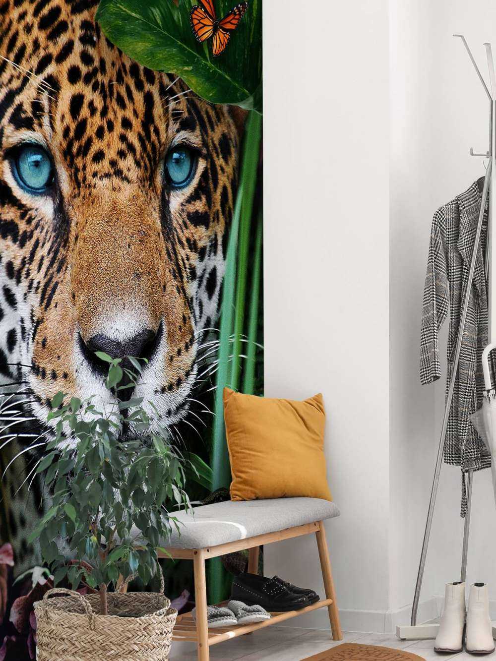 Jungle Leopard