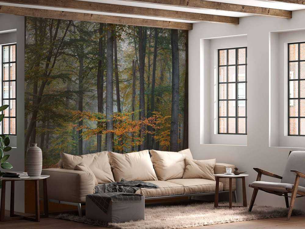 Herbstfarben im nebligen Wald